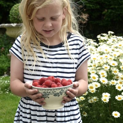 Picking raspberries