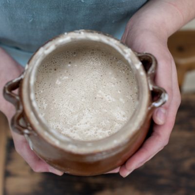 bubbly sourdough starter