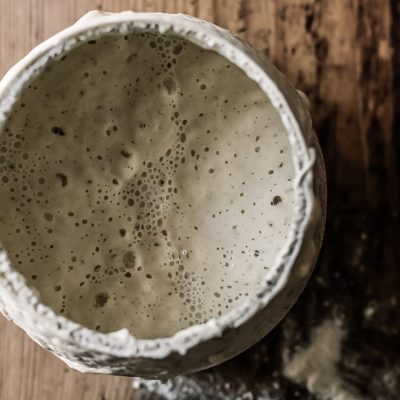 bubbles in sourdough starter