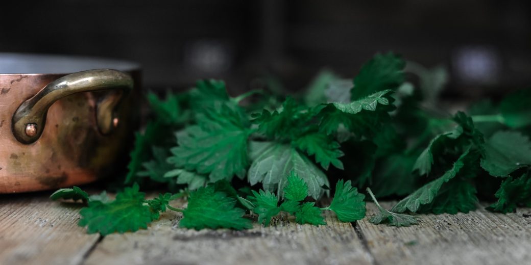 nettles