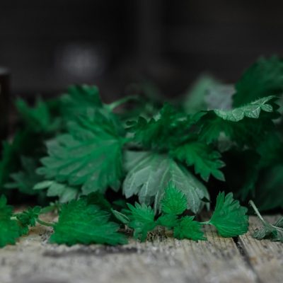 nettles