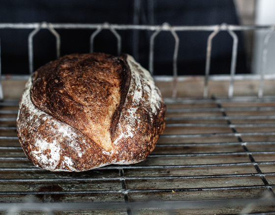 Baked Sourdough Loaf