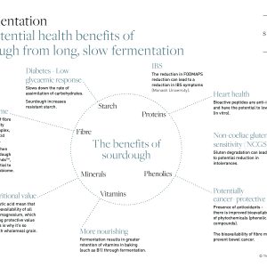 fermentation