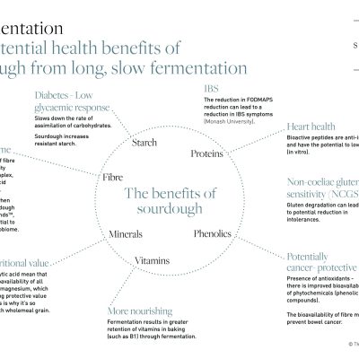 fermentation