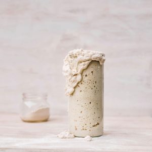 Mary thompson gluten free sourdough starter