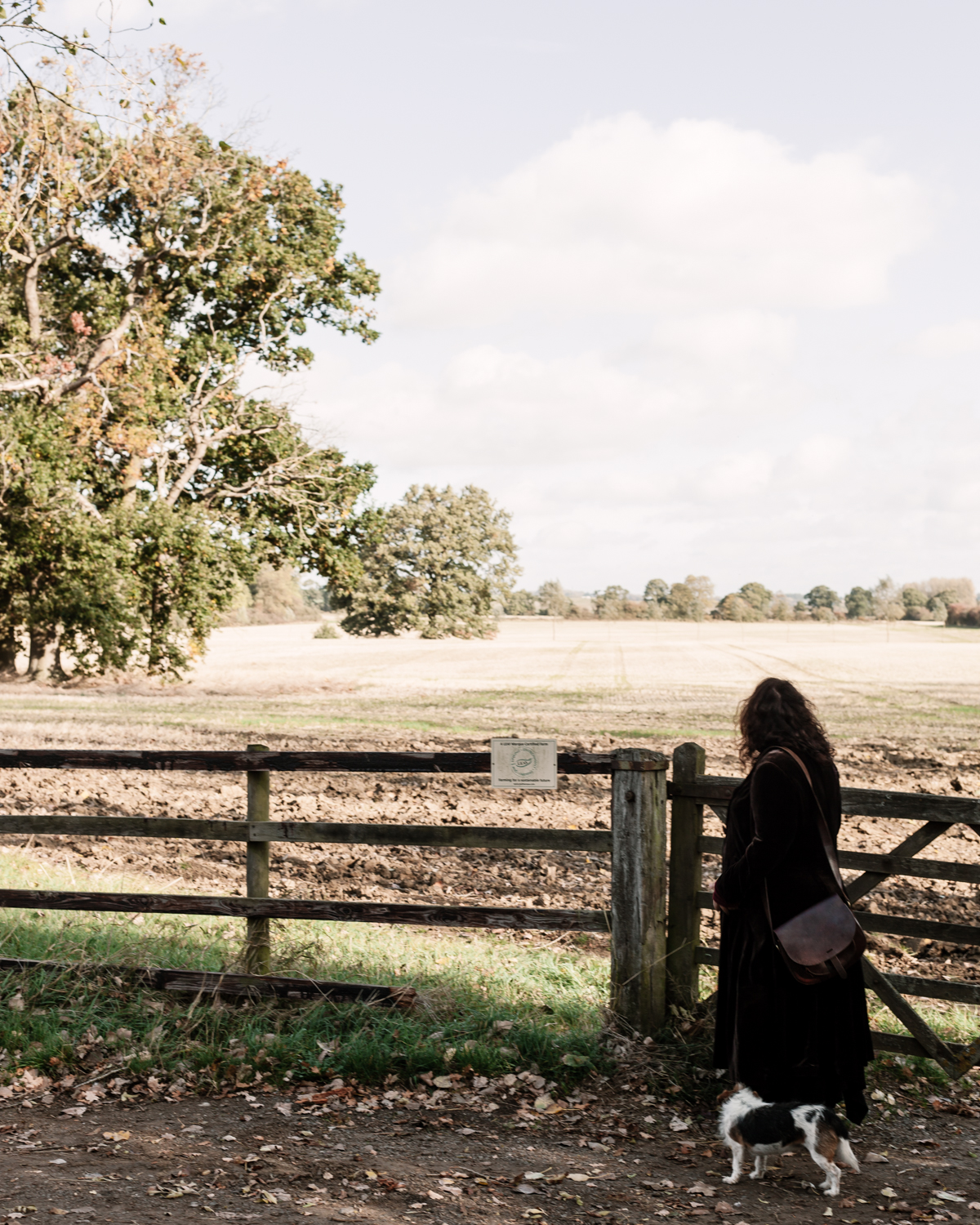 SOURDOUGH SCHOOL-049