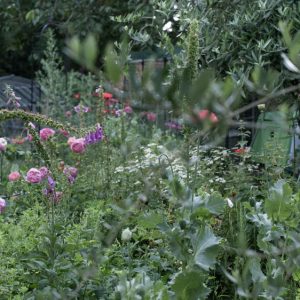 The Sourdough School Garden
