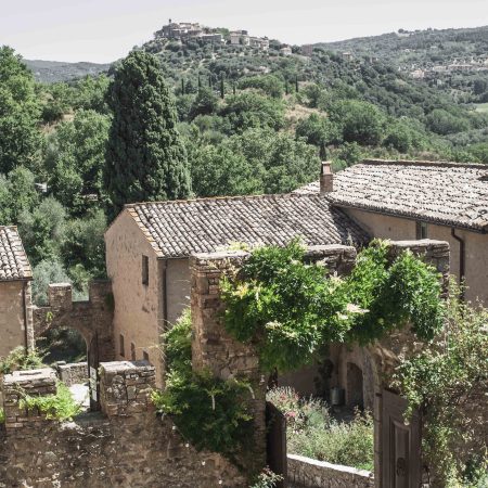 TUSCANY: Bread & Longevity Retreat || 8th – 14th September 2025