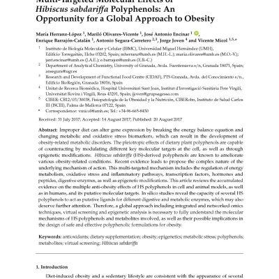 Hibiscus flowers_Red Ferment_Polyphenols