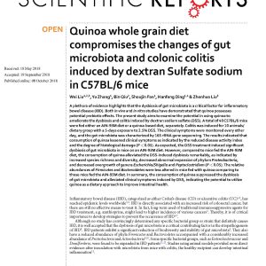 Quinoa: Red Ferment_Polyphenol