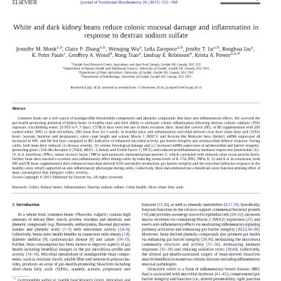 Black Kidney Beans_Botanical Blends