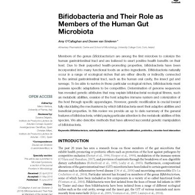 Bifidobacterium