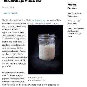 Article_Sourdough Microbiome