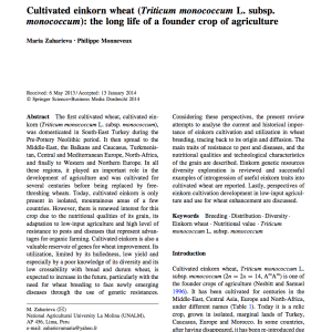 Cultivated einkorn wheat (Triticum monococcum L. subsp. monococcum)