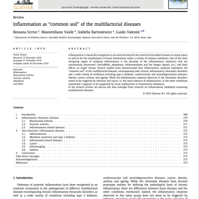 Inflammation as "common soil" of the multifactorial diseases