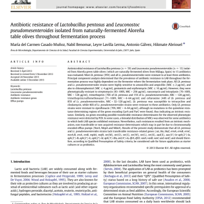 Antibiotic resistance of Lactobacillus pentosus and Leuconostoc pseudomesenteroides isolated from naturally-fermented Aloreña table olives throughout fermentation process
