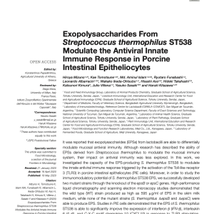 Exopolysaccharides From Streptococcus thermophilus ST538 Modulate the Antiviral Innate Immune Response in Porcine Intestinal Epitheliocytes