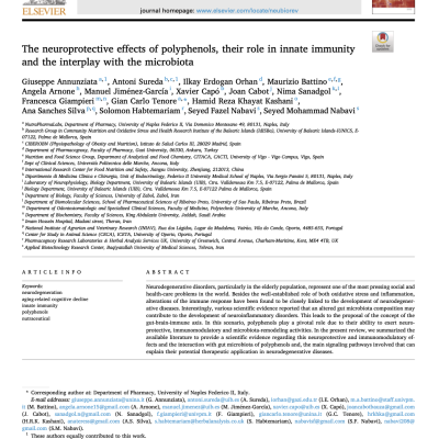 The neuroprotective effects of polyphenols, their role in innate immunity and the interplay with the microbiota