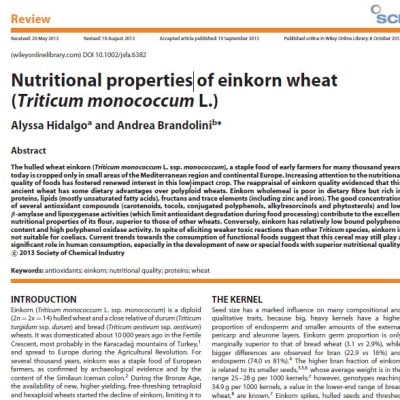 EINKORN