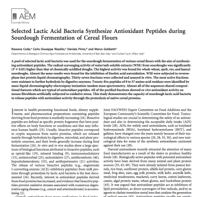 Sourdough lactic acid bacteria and antioxidant peptides