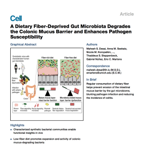 Dietary fibre and the gut microbiome