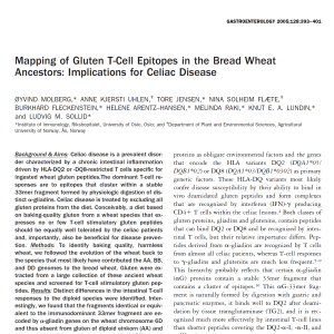 Wheat and implication in celiacs disease