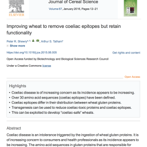 Wheat epitopes in coeliac disease