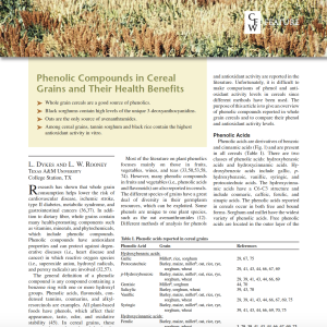 phenolic compounds in wheat