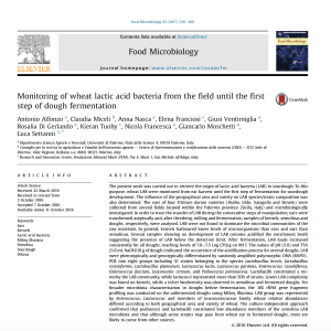 Sourdough and lactic acid bacteria