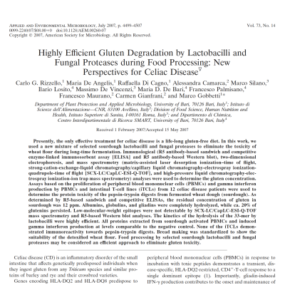 Sourdough lactobacilli and gluten degradation