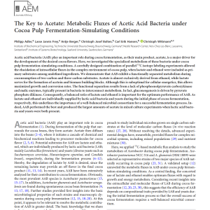 Acetic Acid Bacteria