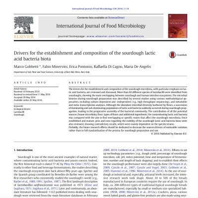 sourdough lactic acid bacteria diversity and species