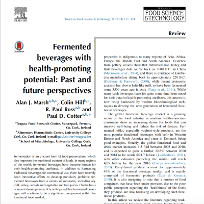 health benefits of fermented beverages