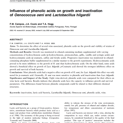 phenolic acids and lactobacilli