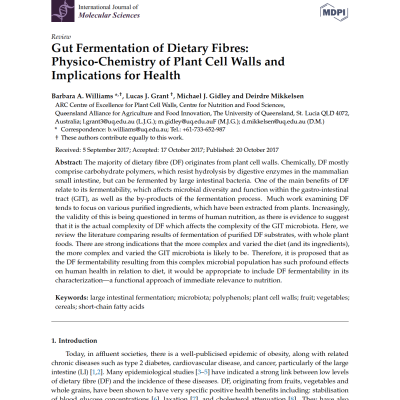 SCFA and gut health