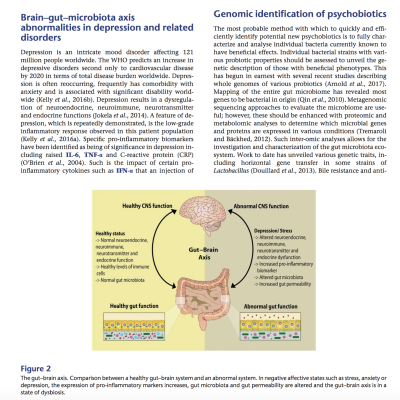 Psychobiotics