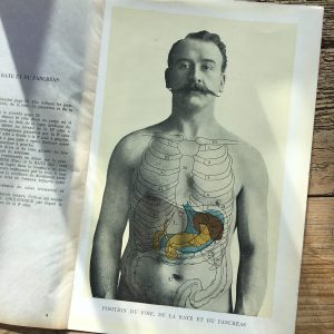 1900's French Digestive system picture.
