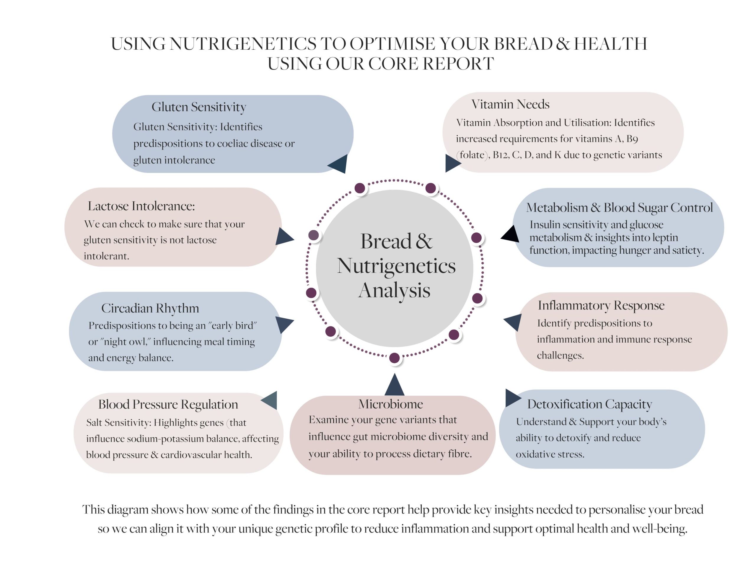 Nutrigenetics provides the insights needed to personalise bread, aligning it with your unique genetic profile to support optimal health and wellbeing.diagram showing this