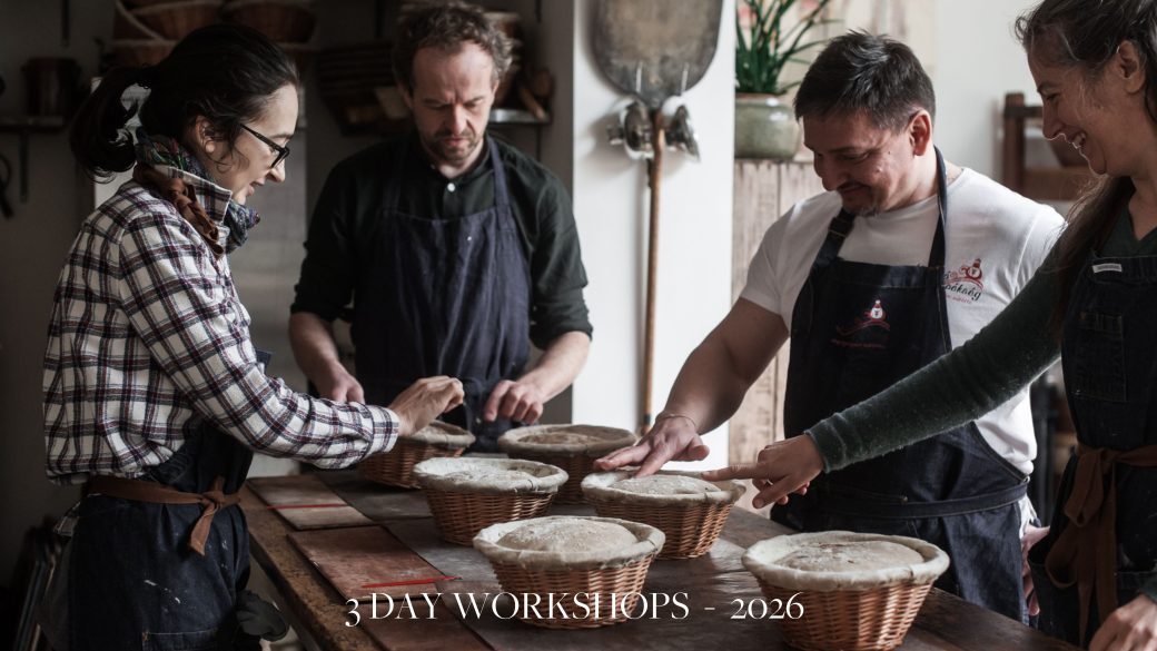 3 Day In Person Workshops  – The Art, Craft and Science of Bread Personalised to you 2026
