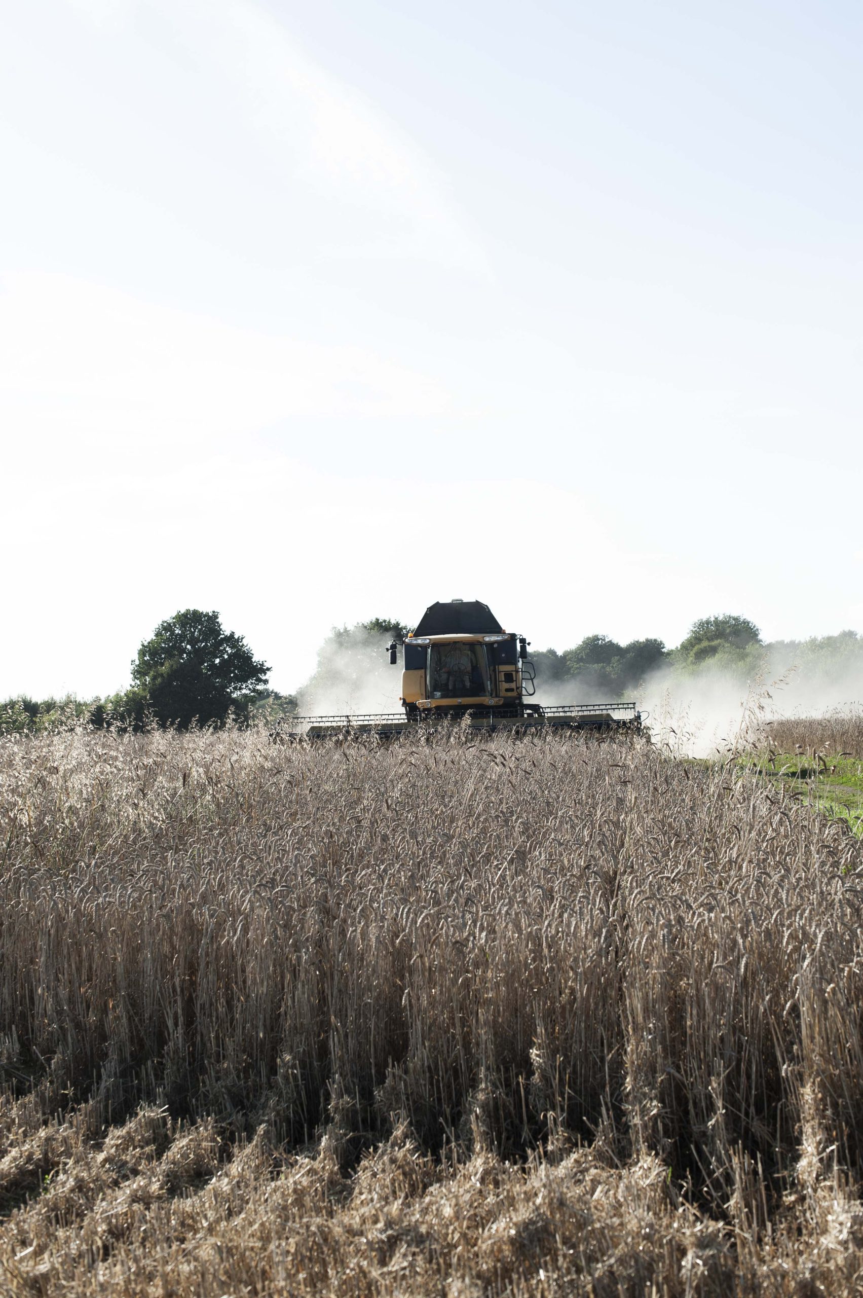 PROVEN: Your Invitation - 12 week system reset - Image 22